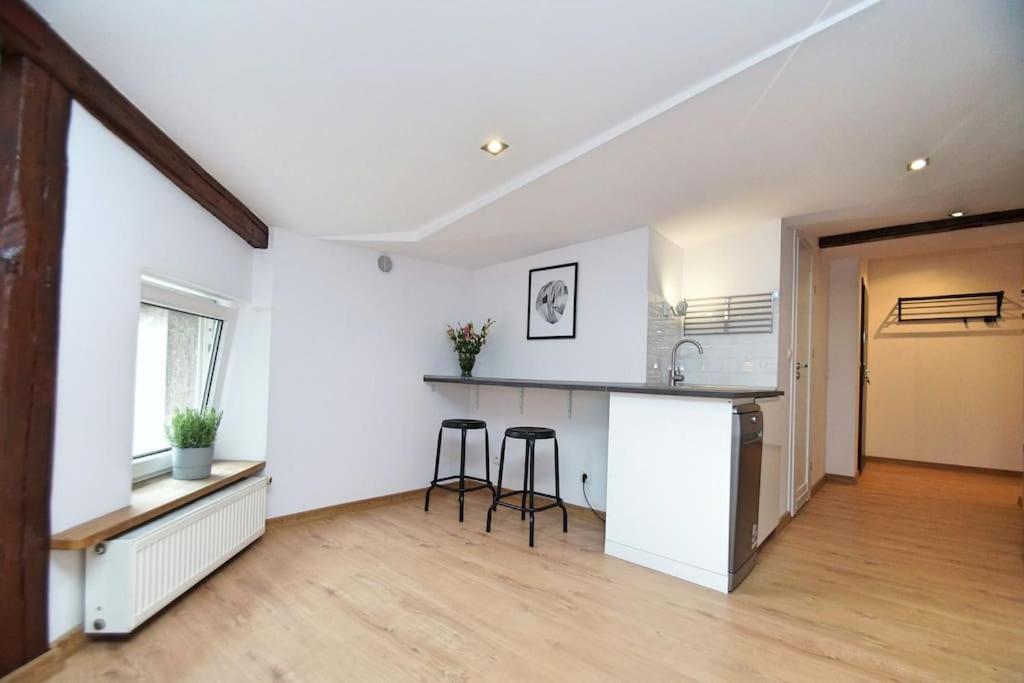 Fv/ Mariacka 7 - Studio Apartment -Катовіце Екстер'єр фото